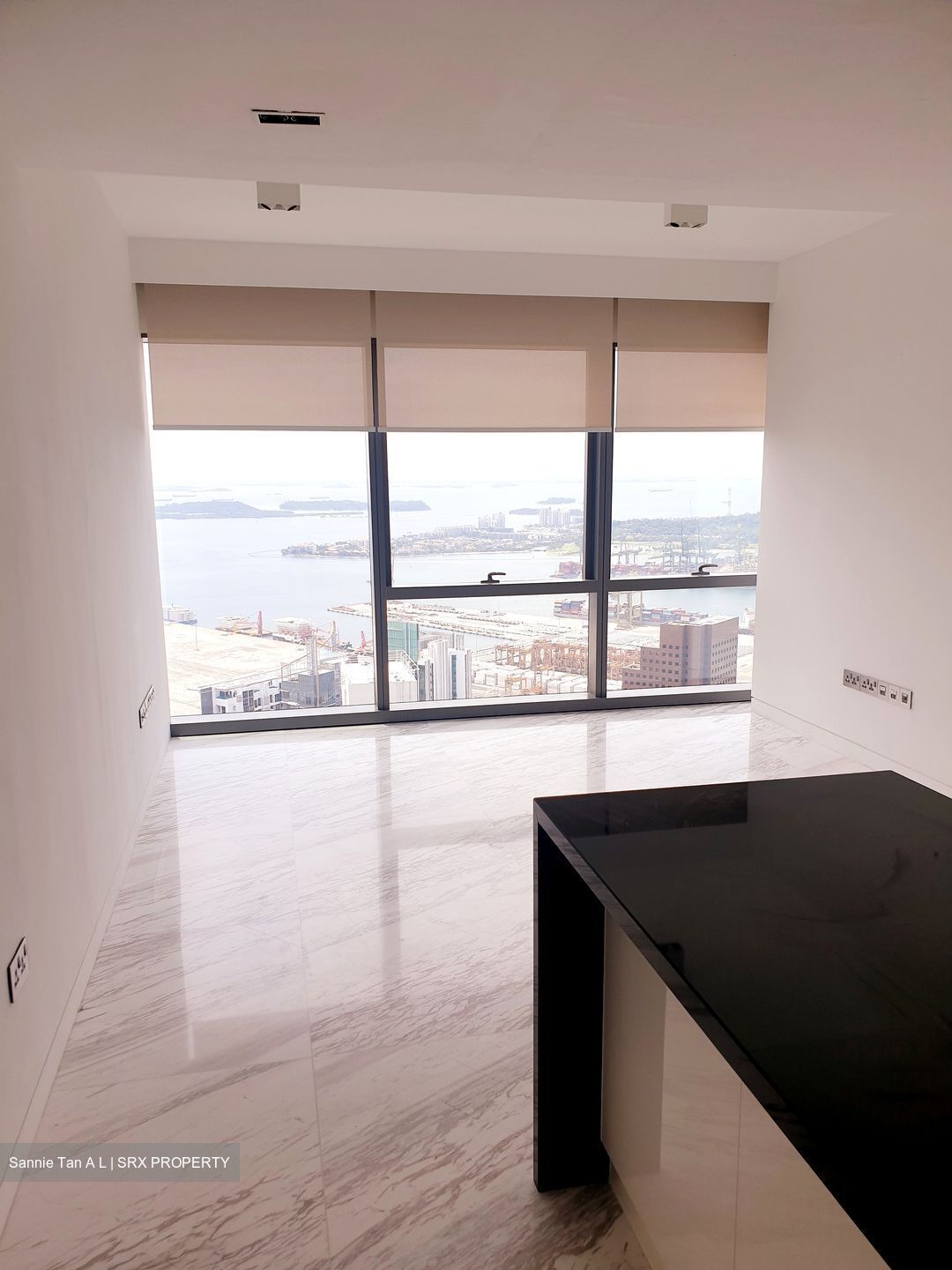 Wallich Residence  (D2), Condominium #621769341